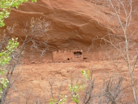 Kane Gulch Ruin